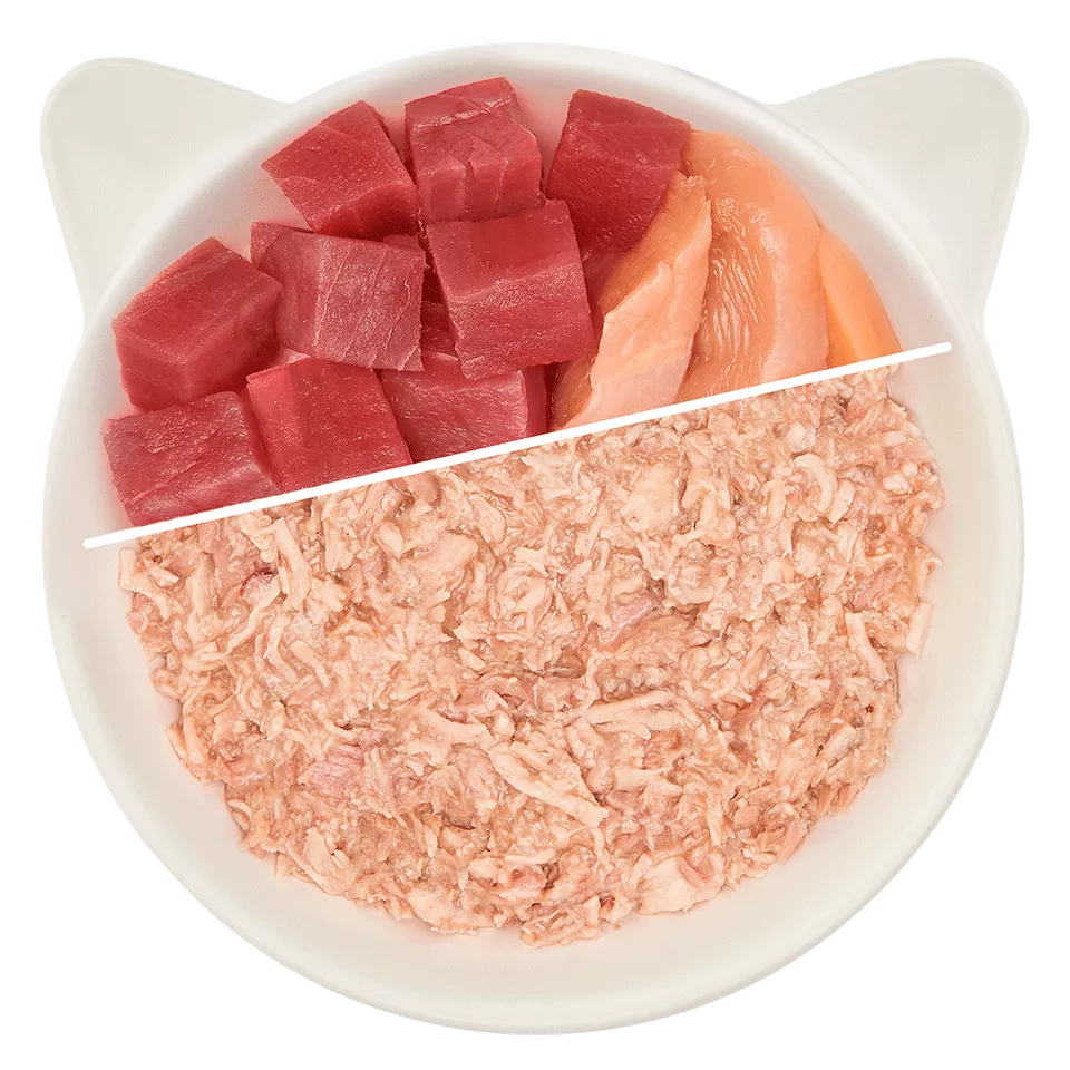 Wow | Cat Filetes de Pollo con atún (70g)