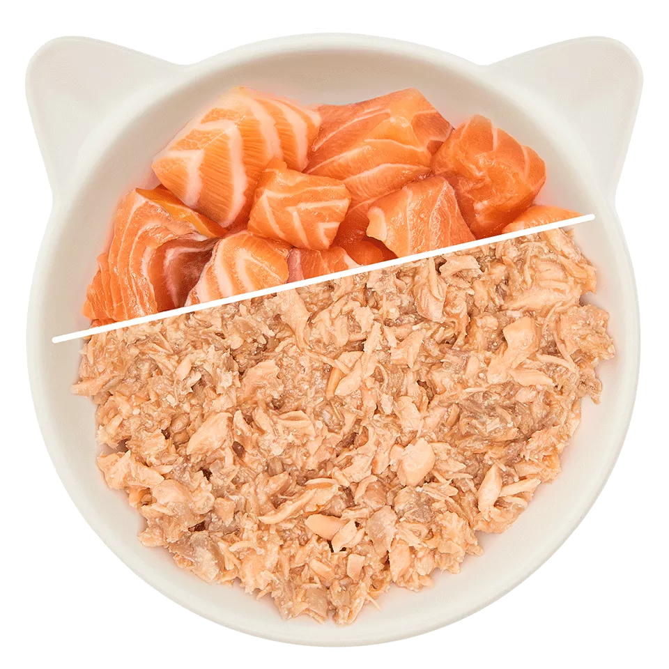 Wow | Cat Filetes de Salmón (70g)