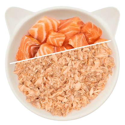 Wow | Cat Filetes de Salmón (70g)